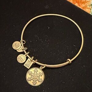 Alex and Ani Gold Charm Bangle